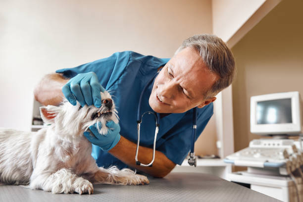 Best Dental Abscess Treatment in Fairlawn, OH