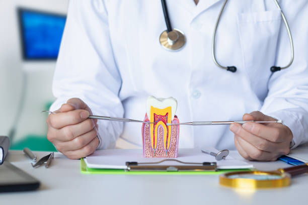 Best Emergency Care for Gum Disease in Fairlawn, OH